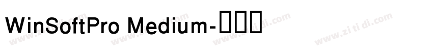 WinSoftPro Medium字体转换